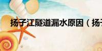 揚子江隧道漏水原因(揚子江隧道漏水)