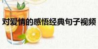 對愛情的感悟經典句子視頻(對愛情的感悟)
