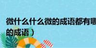微什么什么微的成語都有哪些(微什么什么微的成語)