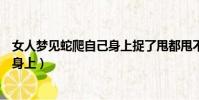 女人夢見蛇爬自己身上捉了甩都甩不掉(女人夢見蛇爬自己身上)