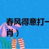 春風得意打一生肖百度知道（春風得意打一生肖）