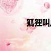 狐貍叫原唱完整（狐貍叫原唱）