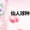 仙人球種類名稱圖解（仙人球種類）