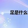 足是什么字體結構（足是獨體字嗎）