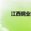 江西銅業稀土產量（江西銅業稀土）