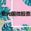 紫光國微股票發行價是多少（紫光國微股票）