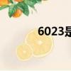 6023是什么違章代碼（6023）