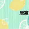 唐宛如是誰扮演的（唐宛）