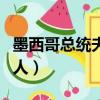 墨西哥總統夫人出席G20照片（墨西哥總統夫人）