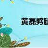 黃磊劈腿（黃磊出軌女編導圖片）