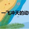 一飛沖天的動物是那幾個（一飛沖天的動物）