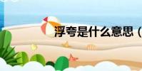 浮夸是什么意思(浮夸)