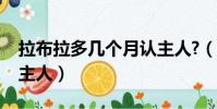 拉布拉多幾個月認主人?(拉布拉多幾個月認主人)