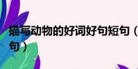 描寫動物的好詞好句短句(描寫動物的好詞好句)