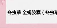 冬蟲草 全蝎膠囊(冬蟲草全蝎軟膠囊)