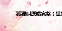狐貍叫原唱完整(狐貍叫原唱)