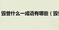 毀譽什么一成語有哪些(毀譽什么什么成語)