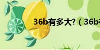 36b有多大?(36b有多大)
