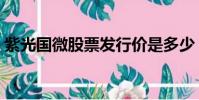 紫光國微股票發行價是多少(紫光國微股票)