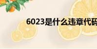 6023是什么違章代碼(6023)