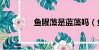 魚腥藻是藍藻嗎(魚腥藻)