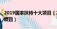 2019國家扶持十大項目(2019國家重點扶持項目)