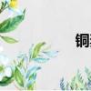銅奔馬簡介（銅奔馬）