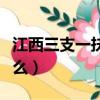 江西三支一扶考什么項目（江西三支一扶考什么）