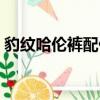豹紋哈倫褲配什么上衣（哈倫褲配什么上衣）