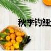 秋季釣鯉魚技巧（夏季釣鯉魚技巧）