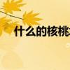 什么的核桃填合適的詞語（什么的核桃）