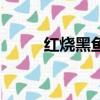 紅燒黑魚段燒多久（紅燒黑魚段）