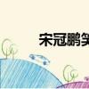 宋冠鵬笑傲江湖第幾集（宋冠鵬）