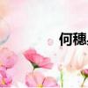 何穗身高詹娜（何穗身高）