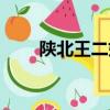 陜北王二妮藝術美照（陜北王二妮）