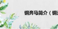 銅奔馬簡介(銅奔馬)