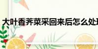 大葉香薺菜采回來后怎么處理(大葉香薺菜)