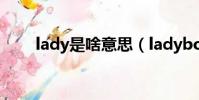 lady是啥意思(ladyboy什么意思)