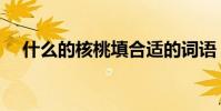 什么的核桃填合適的詞語(什么的核桃)