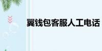 翼錢包客服人工電話(翼錢包)