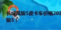 長城風駿5皮卡車價格2022款柴油(長城風駿5)