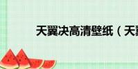 天翼決高清壁紙(天翼決官網)