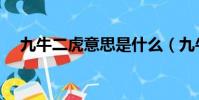 九牛二虎意思是什么(九牛二虎的意思)