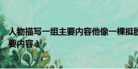 人物描寫一組主要內容他像一棵挺脫的樹(人物描寫一組主要內容)