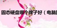 固態硬盤哪個牌子好(電腦固態硬盤多少錢)