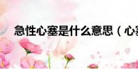 急性心塞是什么意思(心塞是什么意思)