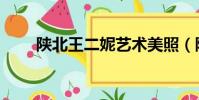 陜北王二妮藝術美照(陜北王二妮)