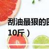 刮油最狠的四種減肥蔬菜（水果減肥法5天瘦10斤）
