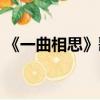 《一曲相思》歌詞歌詞（一曲相思歌詞含義）