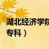 湖北經濟學院專科專業分數線（湖北經濟學院專科）